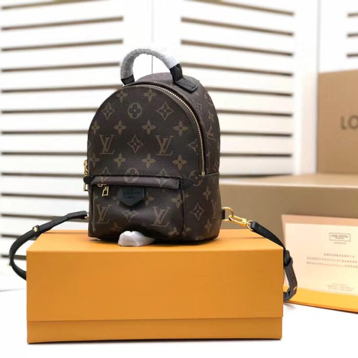 Louis Vuitton Palm Springs Mini Backpack Bag 22cm Monogram Canvas Spring/Summer Collection, Brown – product image 1